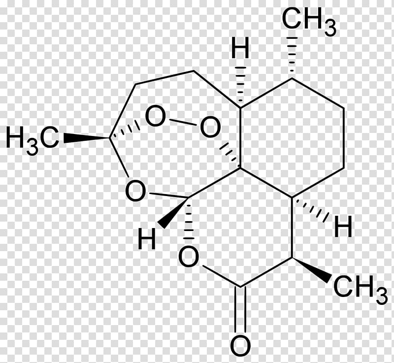 Sweet wormwood Artemisinin Project 523 Antimalarial medication, others transparent background PNG clipart