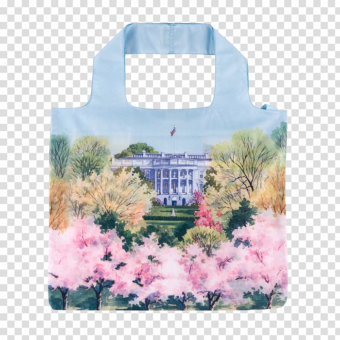 White House Historical Association Tidal Basin Cherry blossom First Lady of the United States, cherry blossom watercolor transparent background PNG clipart