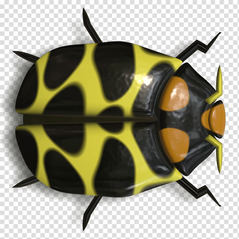 black and yellow beetle , Ladybug Black and Yellow transparent background PNG clipart