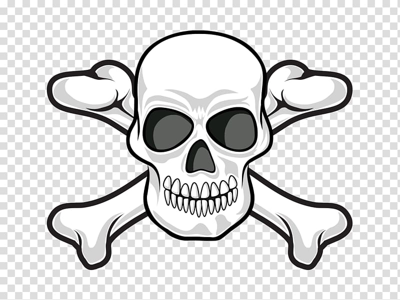 Human skull symbolism Skull and crossbones Jolly Roger, Personality skull transparent background PNG clipart