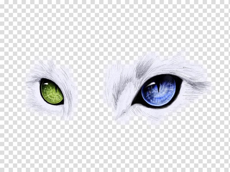 Ojos Azules Odd-eyed cat Blue Cats eye, Two are blue and green cat eyes transparent background PNG clipart