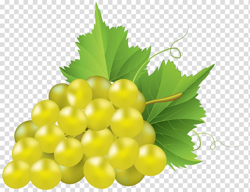 yellow grape illustration, Chardonnay Grape pie Common Grape Vine, White Grape transparent background PNG clipart