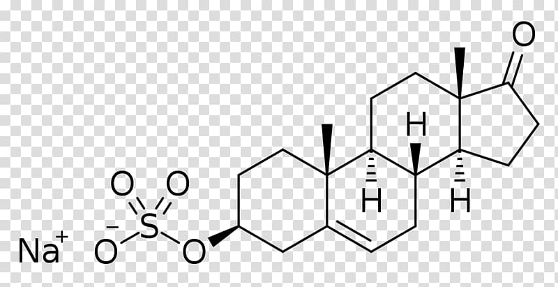 The Great Testosterone Myth Pregnenolone Allopregnanolone Dehydroepiandrosterone Structure, Sodium sulfate transparent background PNG clipart