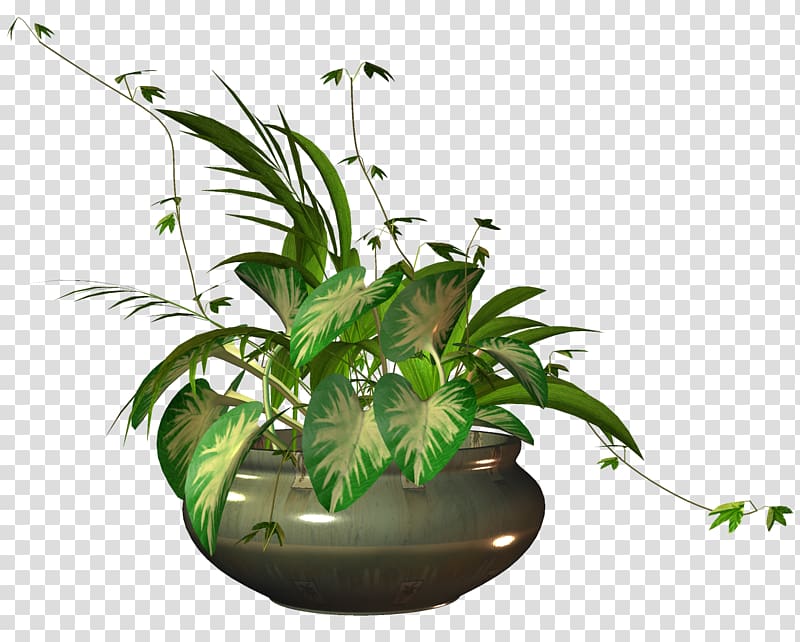 green leafed plant illustration, Flowerpot Houseplant, plant transparent background PNG clipart