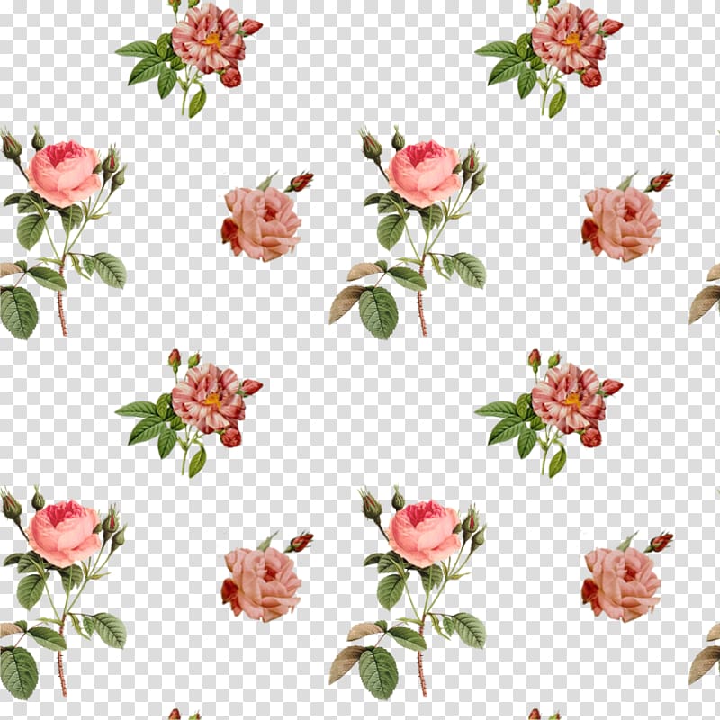 Flower Garden roses , vintage transparent background PNG clipart