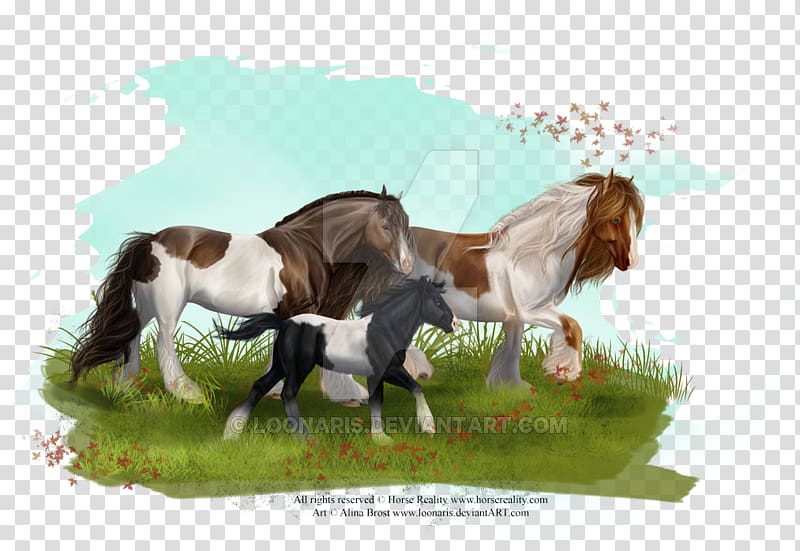Gypsy horse Mane Mustang Stallion Mare, mustang transparent background PNG clipart