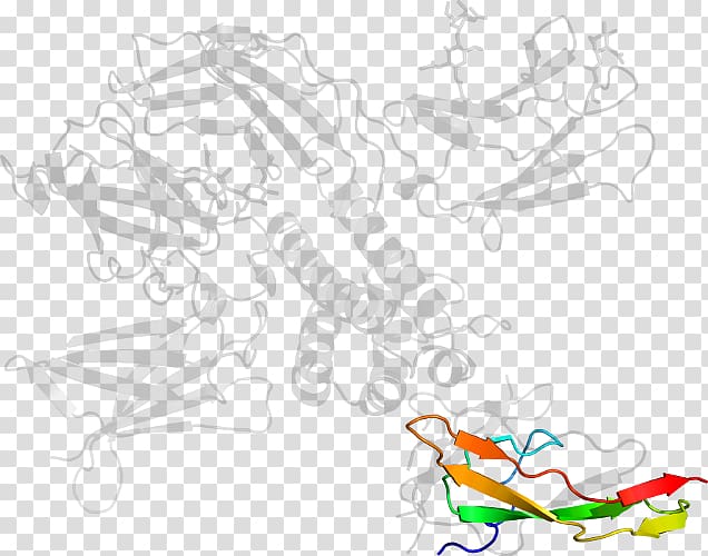 White , design transparent background PNG clipart