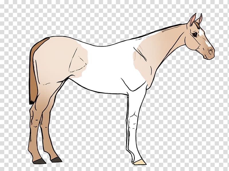 Mule Foal Stallion Bridle Mare, hot rod transparent background PNG clipart
