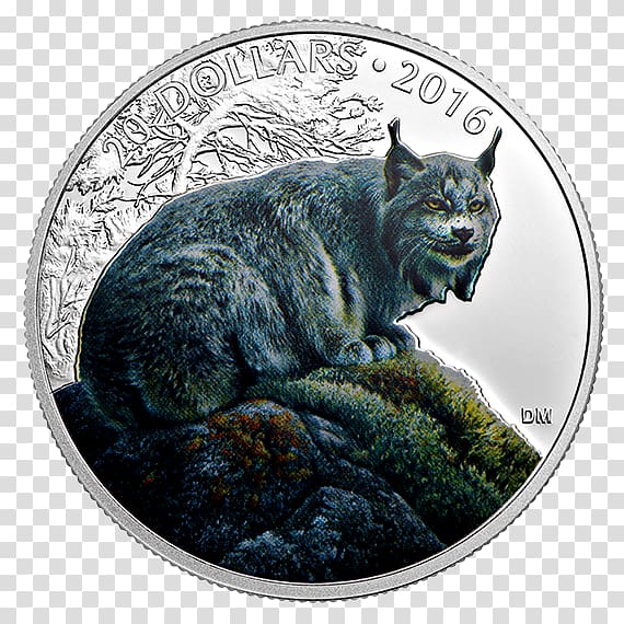 Canada lynx Wildcat Polar bear Coin Bobcat, canadian lynx transparent background PNG clipart