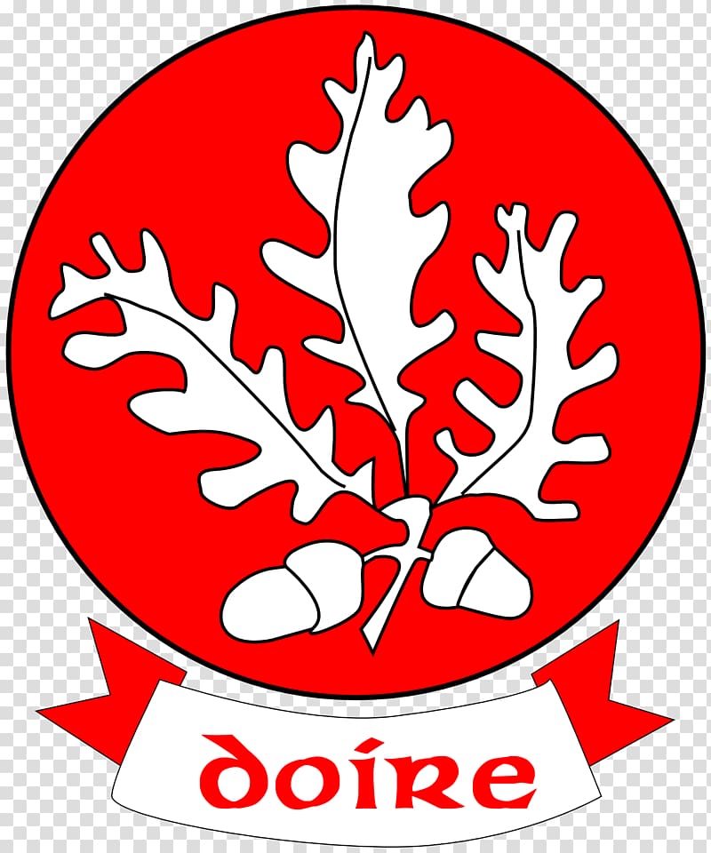 Derry GAA Derry Senior Football Championship All-Ireland Senior Football Championship Dr. McKenna Cup, others transparent background PNG clipart