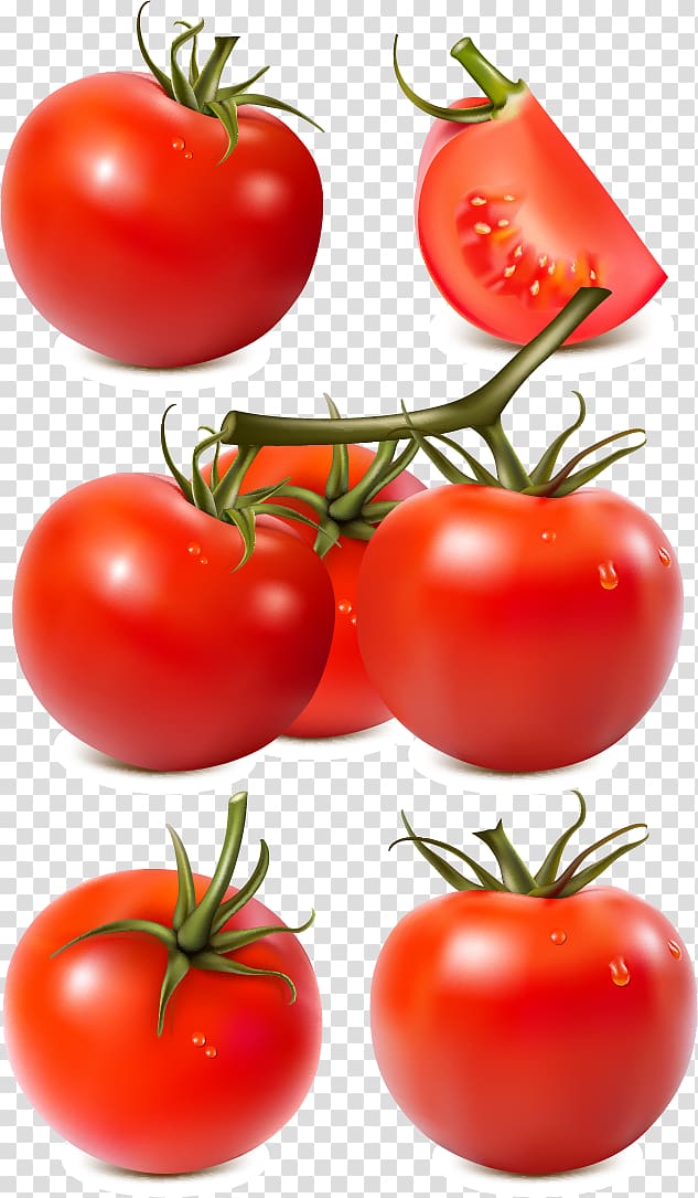 Tomato sauce Vegetable Tomato paste, tomato transparent background PNG clipart