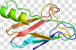 Line Point , line transparent background PNG clipart thumbnail