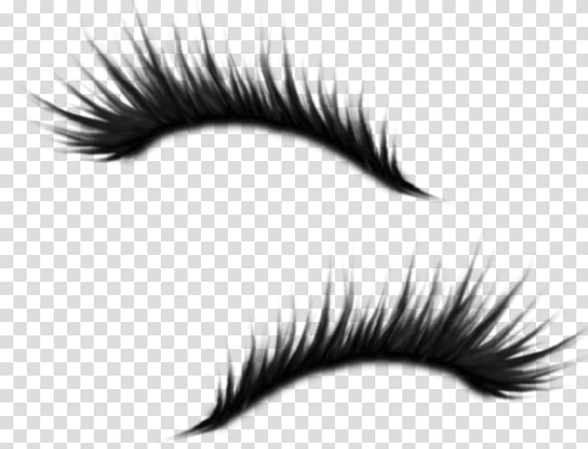 amy eyelashes transparent background PNG clipart