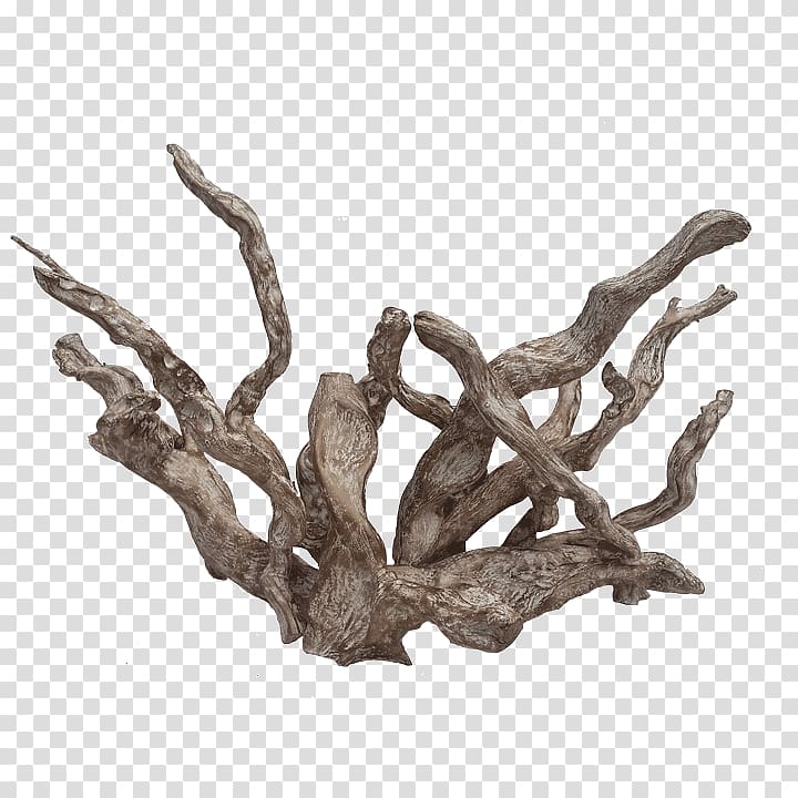Art Driftwood White River Coral Pacific, Driftwood transparent background PNG clipart