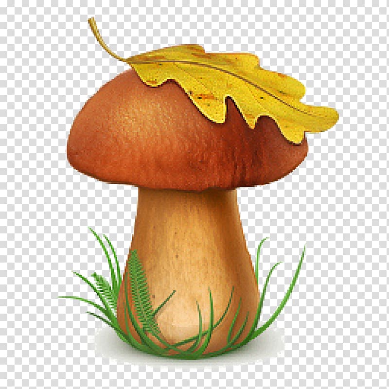 Snow fungus Poisonous mushroom Edible mushroom, mushroom transparent background PNG clipart