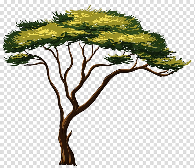 green tree illustration, Africa Tree , Painted African Tree transparent background PNG clipart