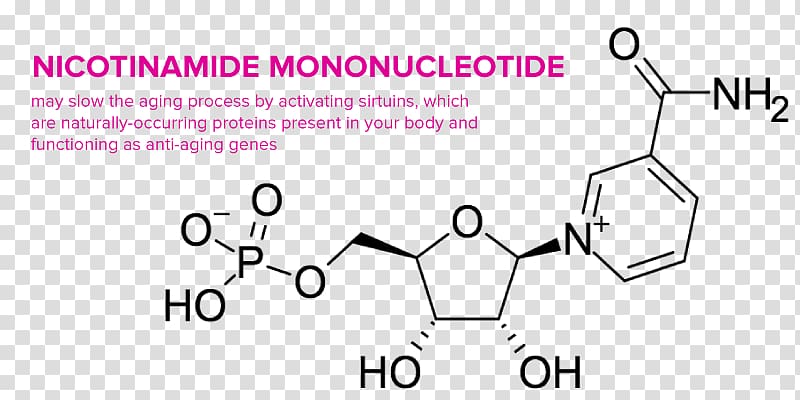Dietary supplement Nicotinamide mononucleotide Lipoic acid Ascorbic acid, reverse aging transparent background PNG clipart