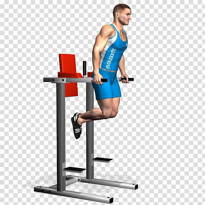 Weight training Exercise Push-up Crunch Bodybuilding, bodybuilding transparent background PNG clipart