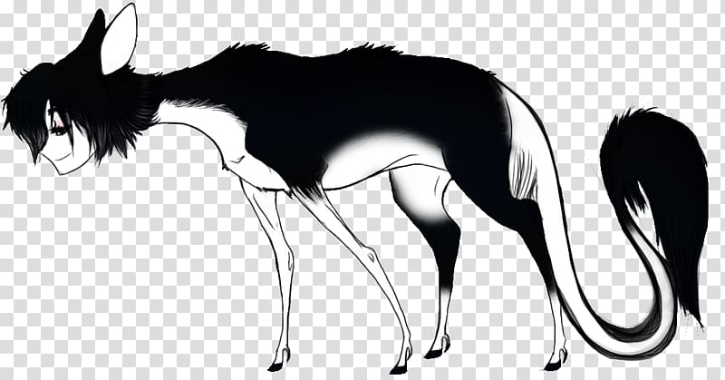 Canidae Cat Macropods Horse Mammal, Cat transparent background PNG clipart