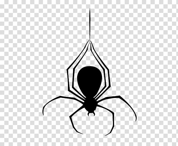 Spider Halloween, Halloween design elements transparent background PNG clipart