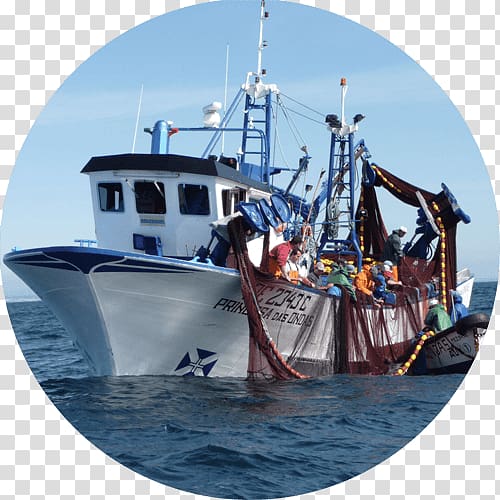Fishing trawler Boating, Fishing transparent background PNG clipart