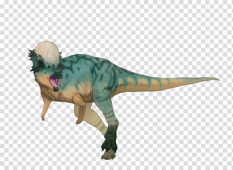 Pachycephalosaurus Tyrannosaurus Velociraptor Dinosaur Summer Prosaurolophus, dinosaur transparent background PNG clipart