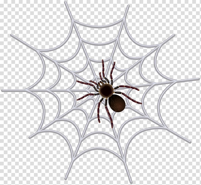 black spider on white web illustration, Spider web , Spider Web transparent background PNG clipart