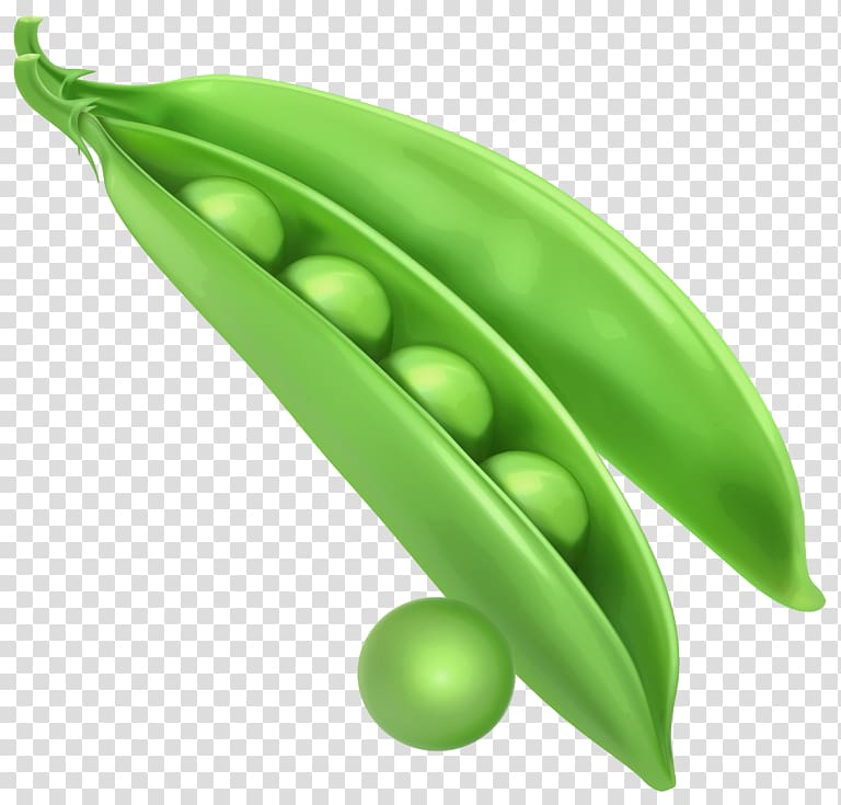 Snap pea , pea transparent background PNG clipart