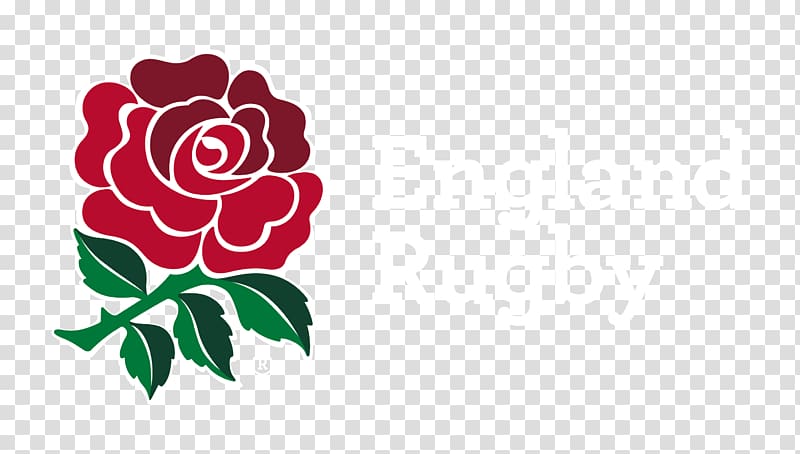 Six Nations Championship England national rugby union team Wales national rugby union team Irish Rugby, white sofa transparent background PNG clipart