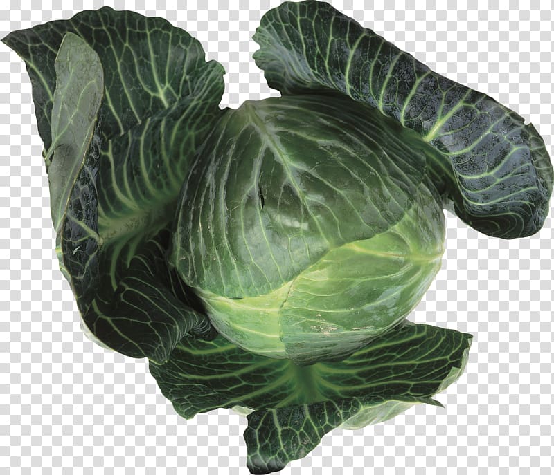Collard greens Leaf vegetable Cabbage Food Brussels sprout, cabbage transparent background PNG clipart