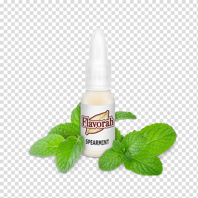 Spearmint Herb Peppermint Flavor Aroma, мята transparent background PNG clipart