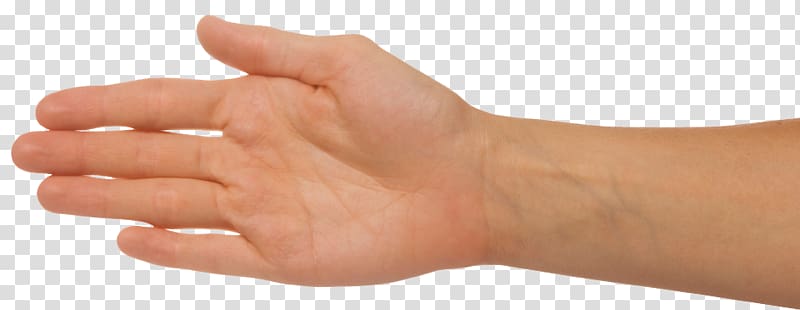 Thumb Augu0161delms Upper limb, One arm transparent background PNG clipart