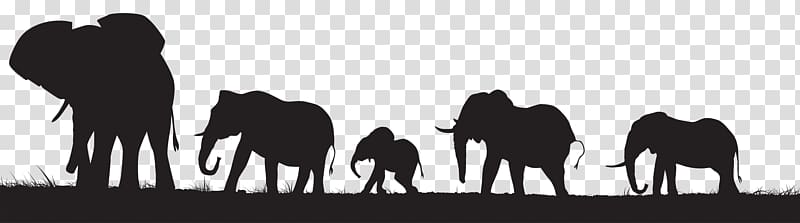 silhouette five elephants illustration, Elephant Silhouette , Elephants Silhouette transparent background PNG clipart