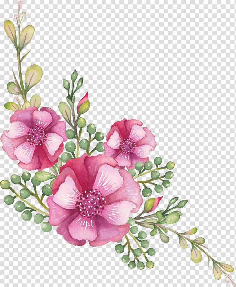 Cut flowers Floral design Centifolia roses Garden roses, subshrubby peony flower transparent background PNG clipart