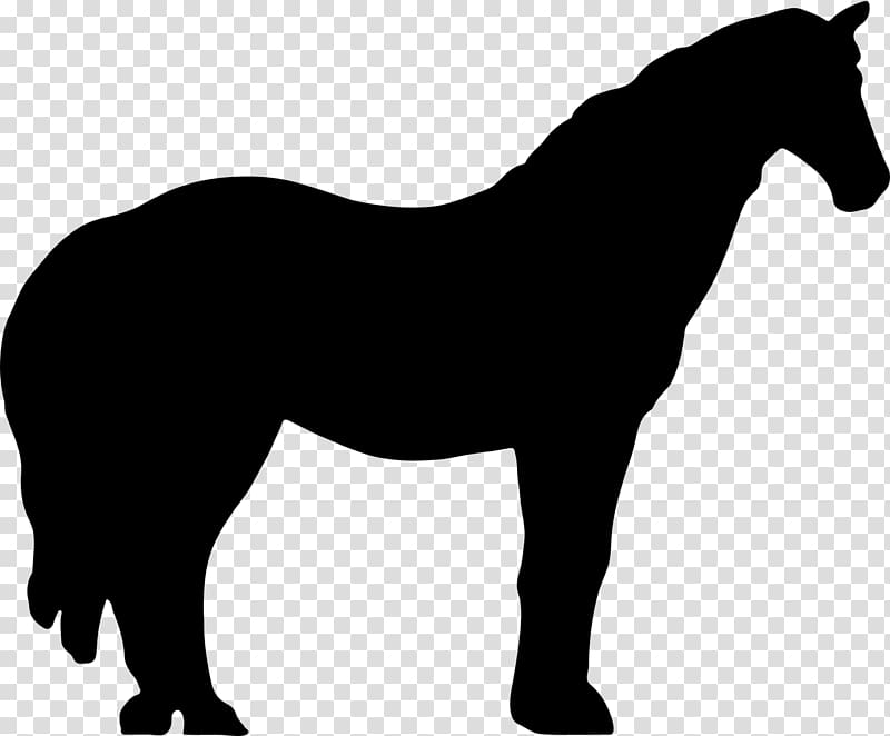 Irish Wolfhound Irish Terrier Horse Silhouette, animal silhouettes transparent background PNG clipart