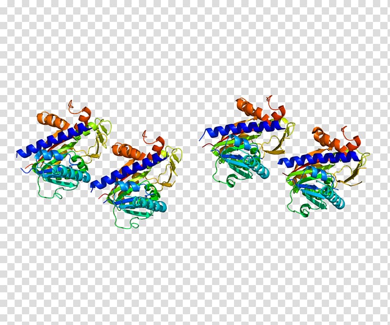 mRNA (guanine-N7-)-methyltransferase Five-prime cap Capping enzyme, others transparent background PNG clipart