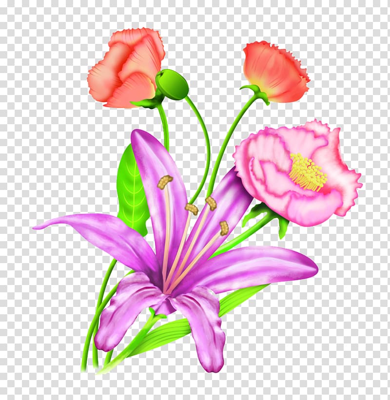 Lilium Flower, Hand-painted lily carnation flowers transparent background PNG clipart