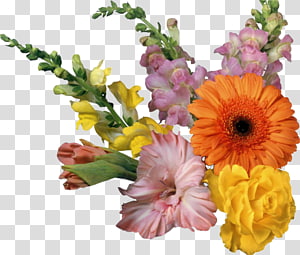 Download Gif Transparent Background Png U0026 Base - Animated Flowers  Blooming Gif,Gifs Transparent Background - free transparent png images 