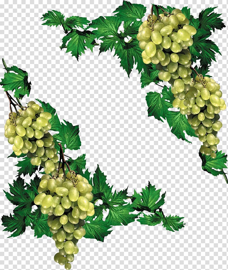 Display resolution , Grapes transparent background PNG clipart