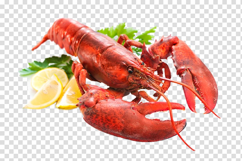 Lobster Seafood Pancake Spanish Cuisine, Steamed lobster transparent background PNG clipart
