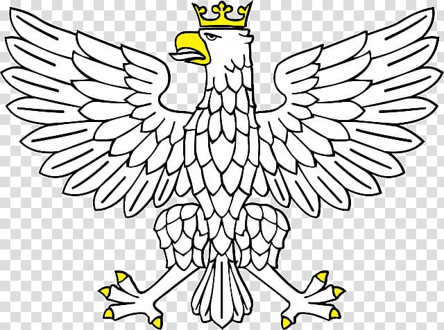 Eagle Crown , Outline Of Eagle transparent background PNG clipart