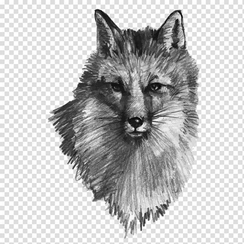 Gray wolf Drawing Fox Illustration, Hand painted gray wolf transparent background PNG clipart
