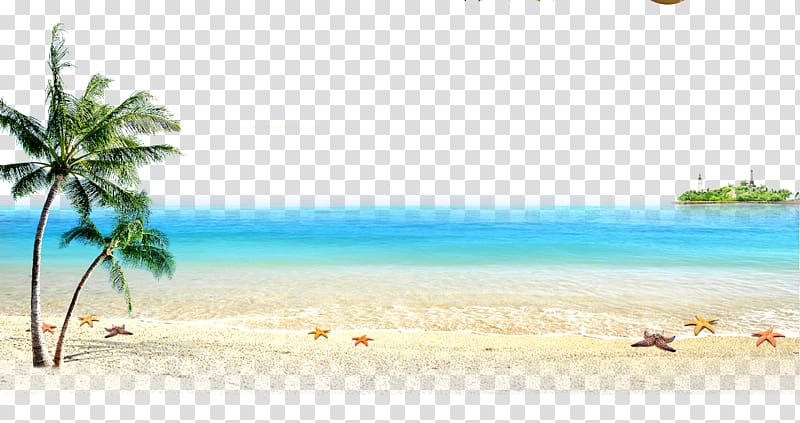 Beach Sea Computer file, Beach and the sea, coconut palm tree near beach at daytime transparent background PNG clipart