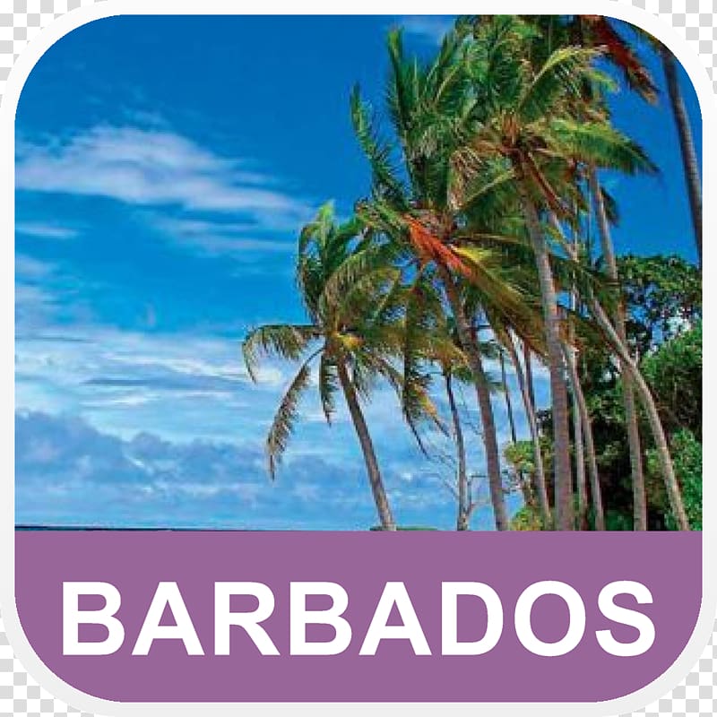 Hawaii Desktop Tropical Islands Resort Barbados Beach, beach transparent background PNG clipart