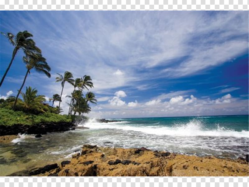 Princeville Kapaa, Hawaii WorldMark Kapaa Shore Oahu, beach transparent background PNG clipart