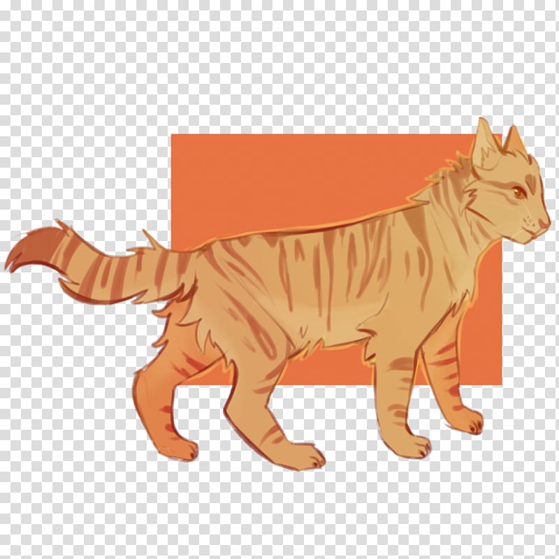 Tiger Cat Into the Wild Warriors Thornclaw, tiger transparent background PNG clipart