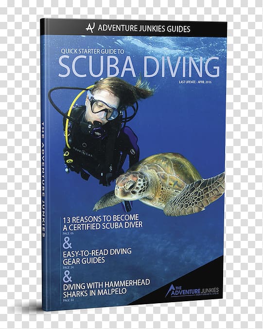 Marine biology Andaman Sea Scuba diving Underwater , sea transparent background PNG clipart