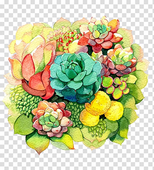 Echeveria Watercolor painting Illustration, Stone Lotus background transparent background PNG clipart