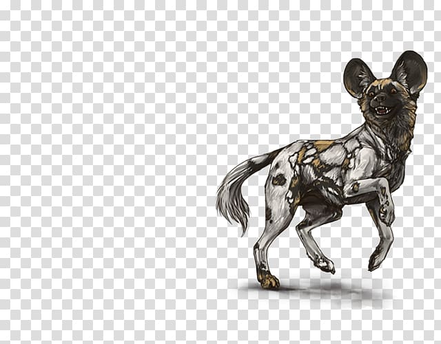 African wild dog Lion Dog breed Non-sporting group, lion transparent background PNG clipart