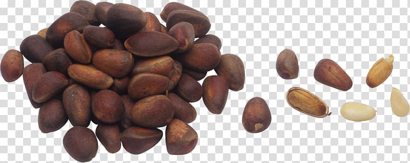 Pine nut Nuts Hazelnut, walnut transparent background PNG clipart